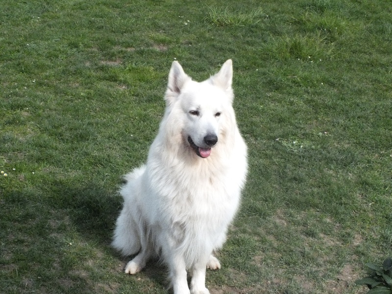 Dakota de la Grange aux Blancs