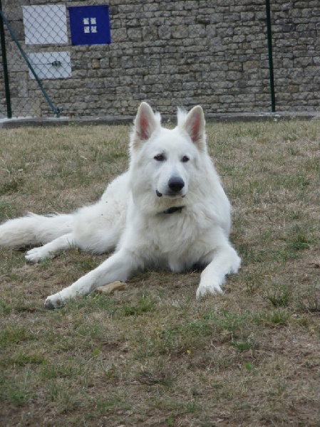 Ebéne de la Grange aux Blancs